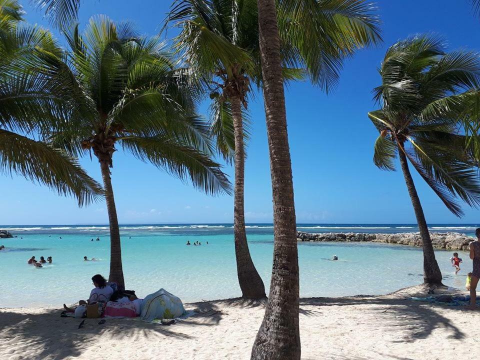 Paradis Caraibes ساينت آن المظهر الخارجي الصورة